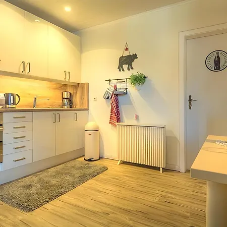 Apartment The Bad Harzburg